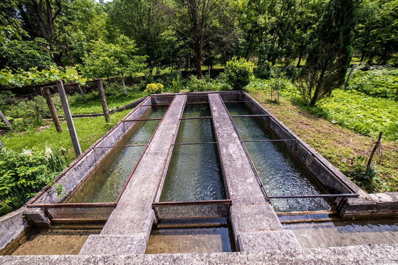 Eko House Dobrenica Villa Bihać Екстериор снимка