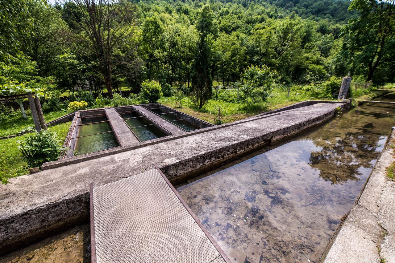 Eko House Dobrenica Villa Bihać Екстериор снимка